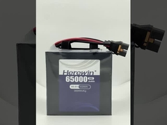 Herewin Semi Solid State Battery 18S 66.6V 65000mAh